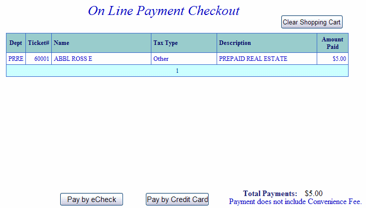 Checkout example screen